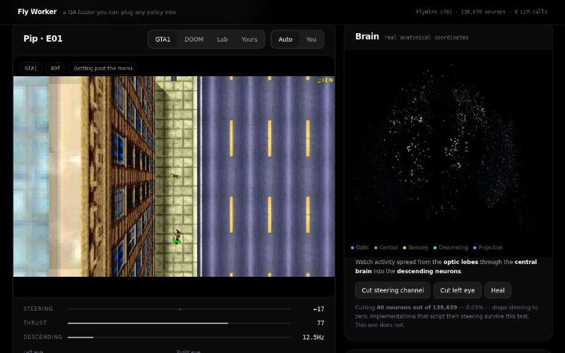 Fly Worker, first screenshot: a top-down city game view with a small player figure on the pavement, a frame counter reading 89f, steering -17, and a brain panel with a cloud of activity dots.