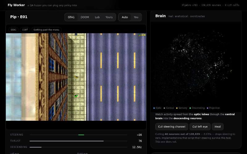 Fly Worker, second screenshot: the same game view with the player figure further up the pavement, frame counter 110f, steering +16, and a different pattern of lit dots in the brain panel.